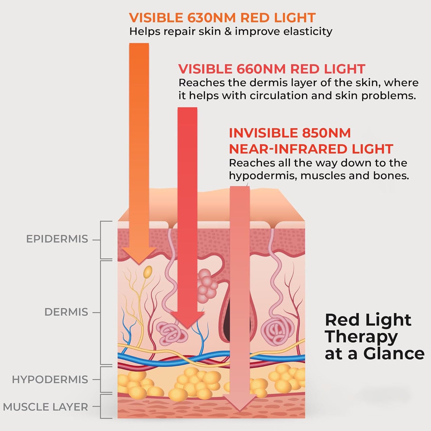 Infrared Red Light Therapy Torch for Body Joints & Muscles